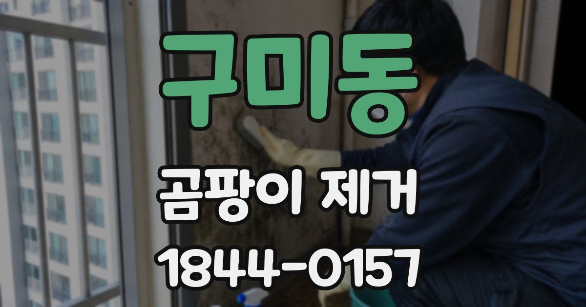 구미동 곰팡이 제거