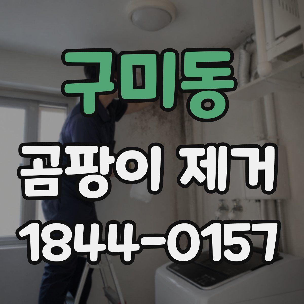 구미동 곰팡이 제거