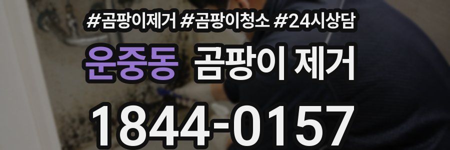 운중동 곰팡이 제거