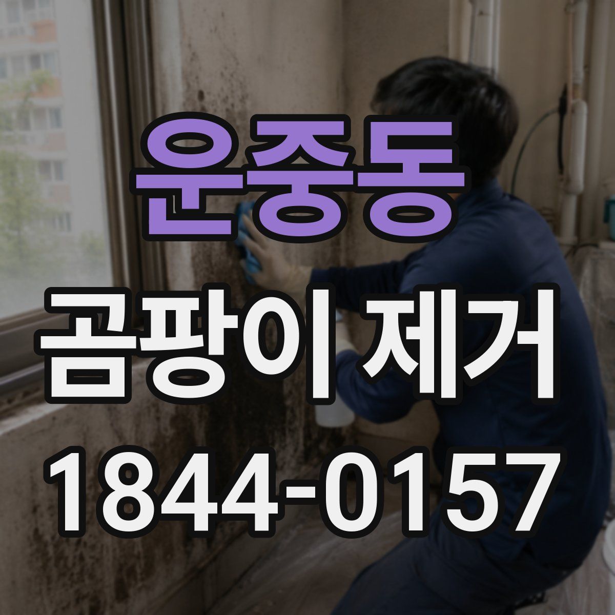 운중동 곰팡이 제거