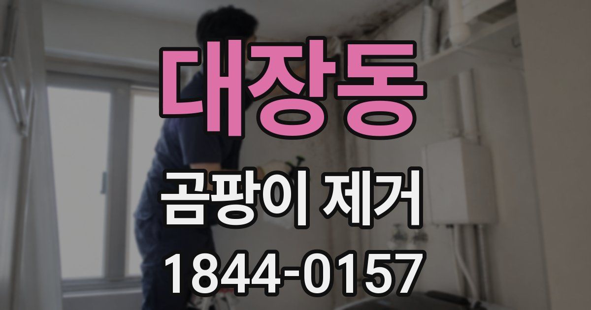 대장동 곰팡이 제거