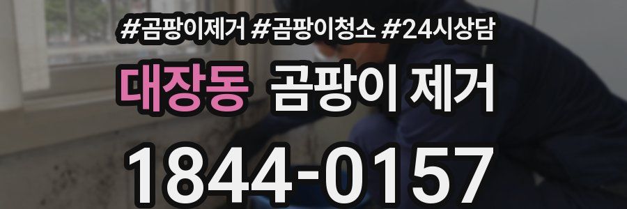 대장동 곰팡이 제거