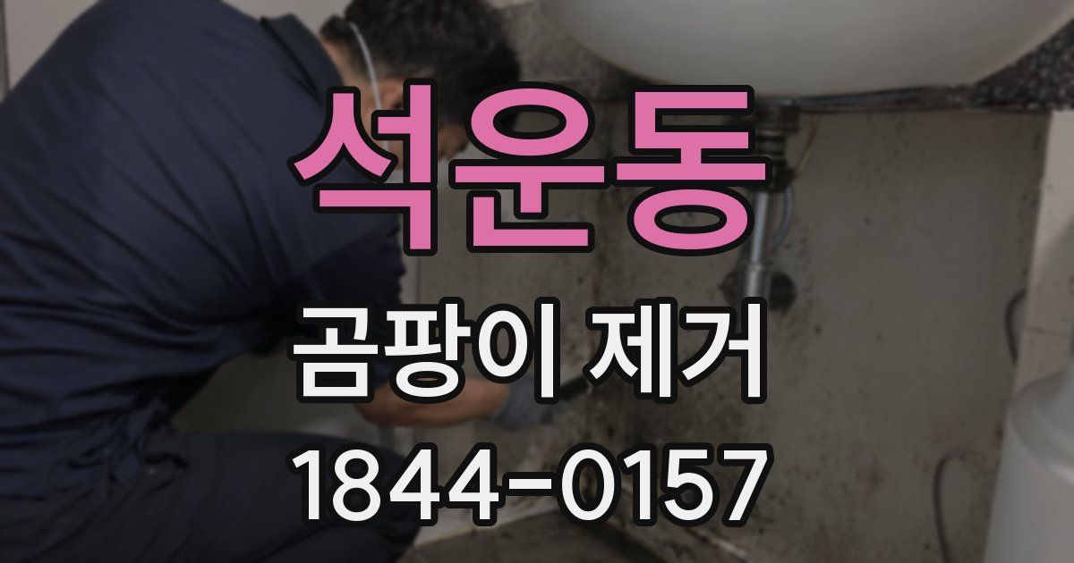 석운동 곰팡이 제거