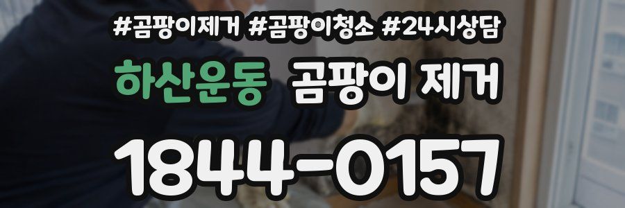 하산운동 곰팡이 제거