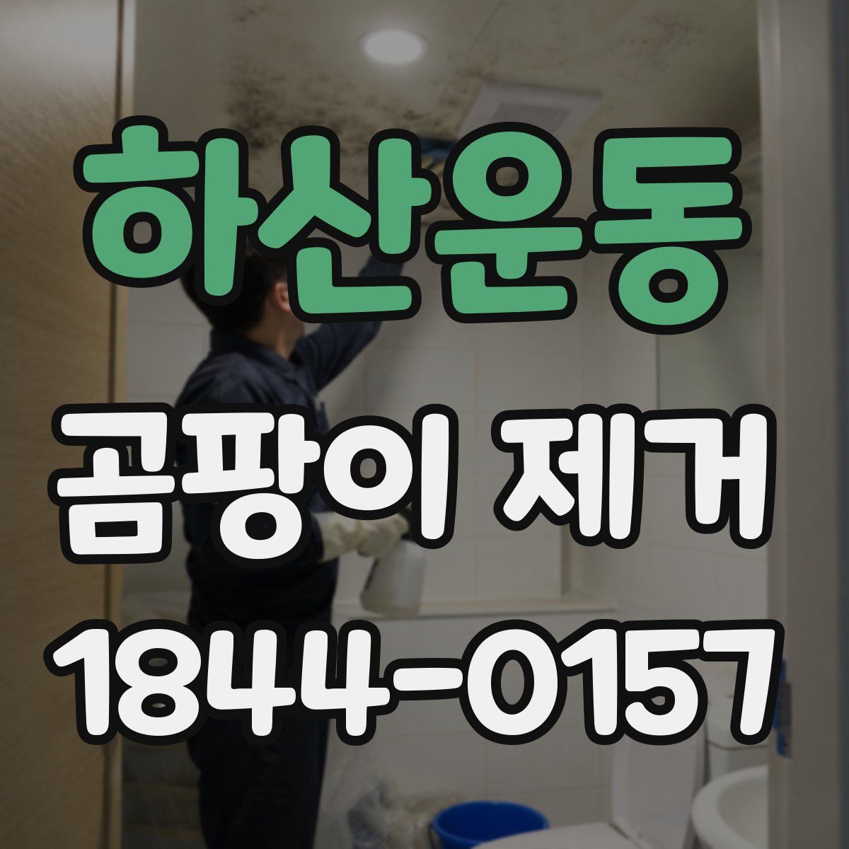 하산운동 곰팡이 제거