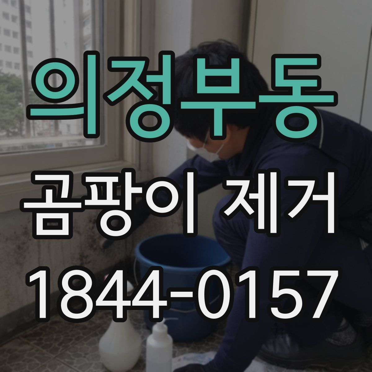 의정부동 곰팡이 제거