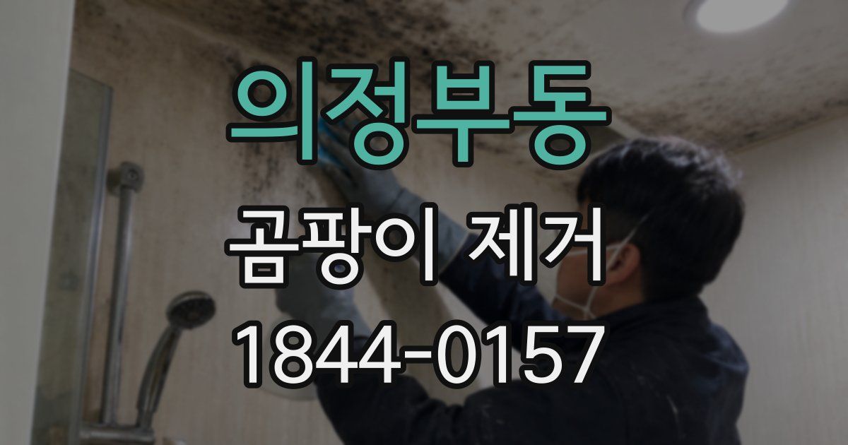 의정부동 곰팡이 제거