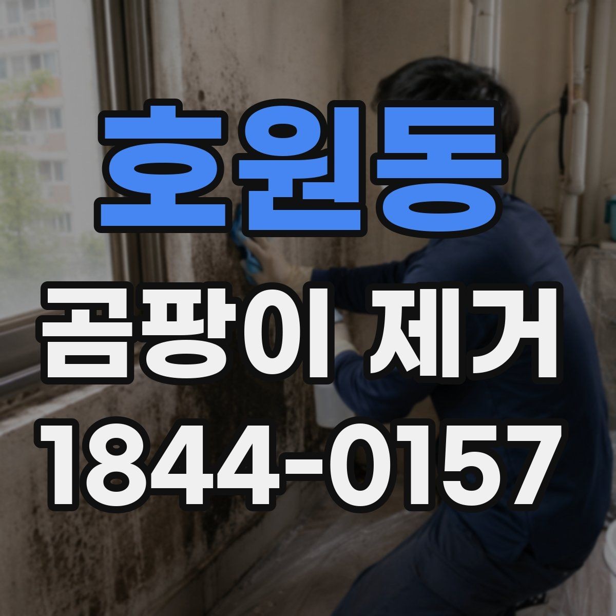 호원동 곰팡이 제거 세척 전에 건조를 먼저 해야 하는 까닭