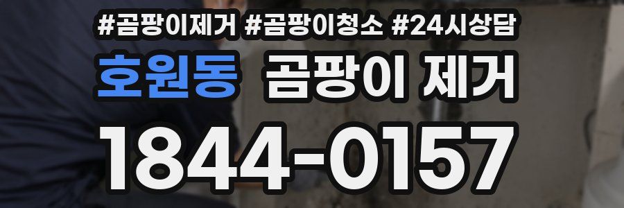 호원동 곰팡이 제거