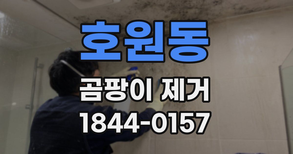 호원동 곰팡이 제거