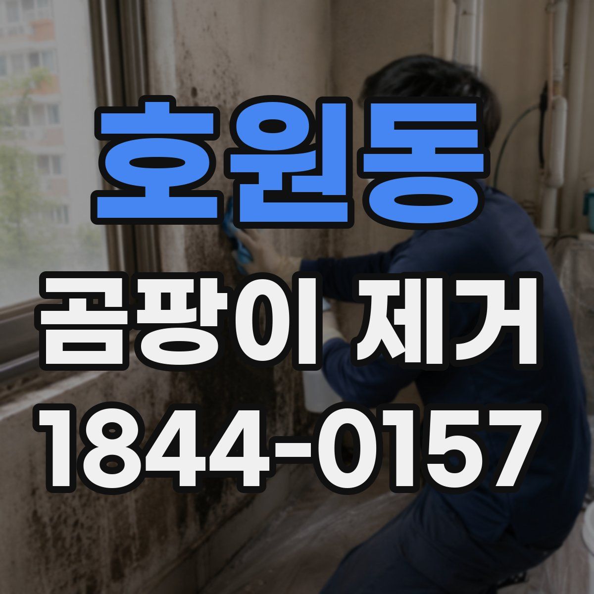 호원동 곰팡이 제거