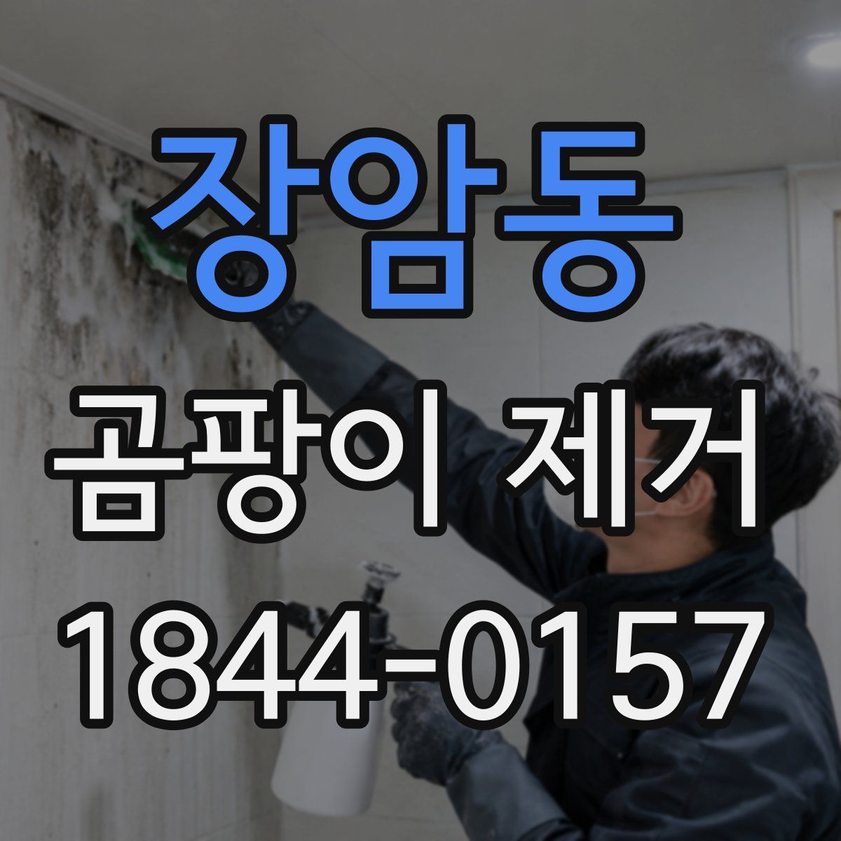 장암동 곰팡이 제거