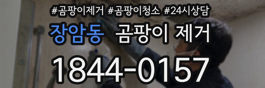 장암동 곰팡이 제거