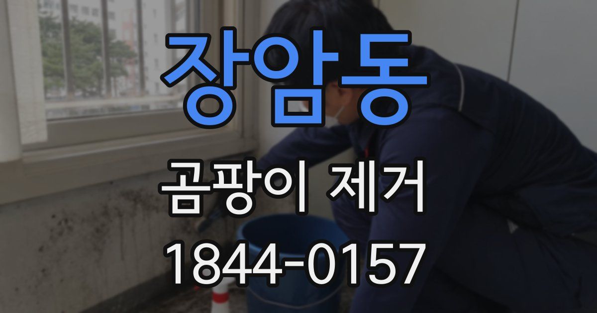 장암동 곰팡이 제거