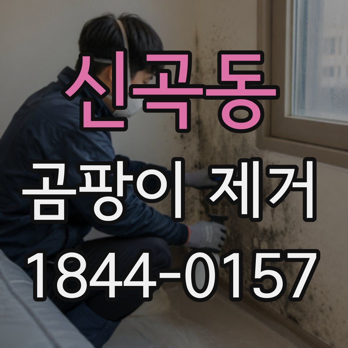 신곡동 곰팡이 제거