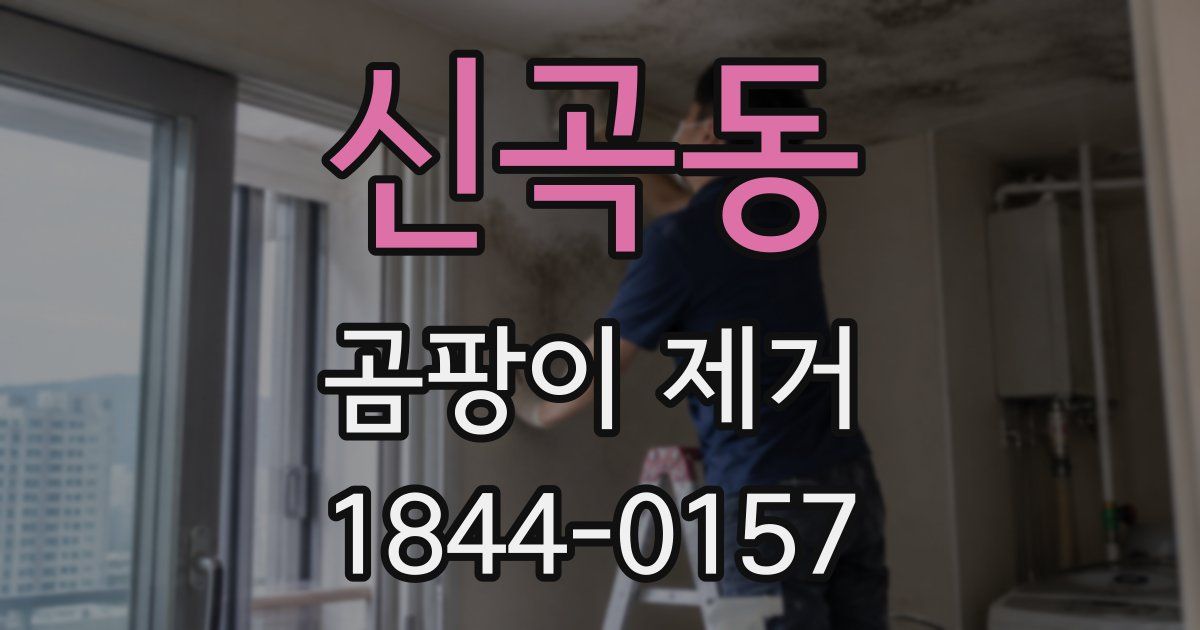 신곡동 곰팡이 제거