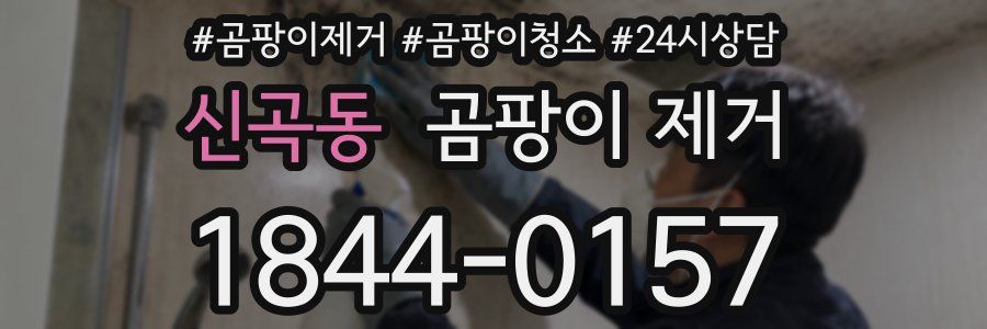 신곡동 곰팡이 제거