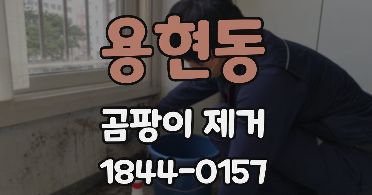 용현동 곰팡이 제거
