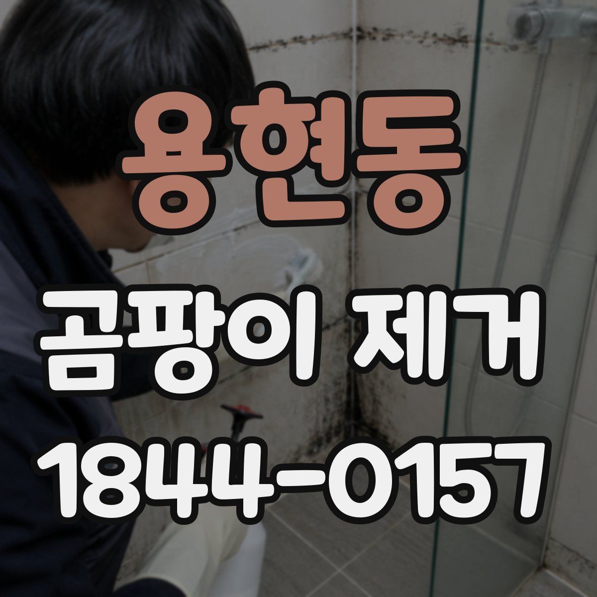 용현동 곰팡이 제거