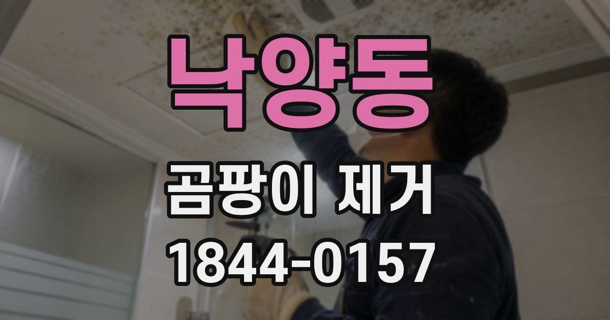 낙양동 곰팡이 제거