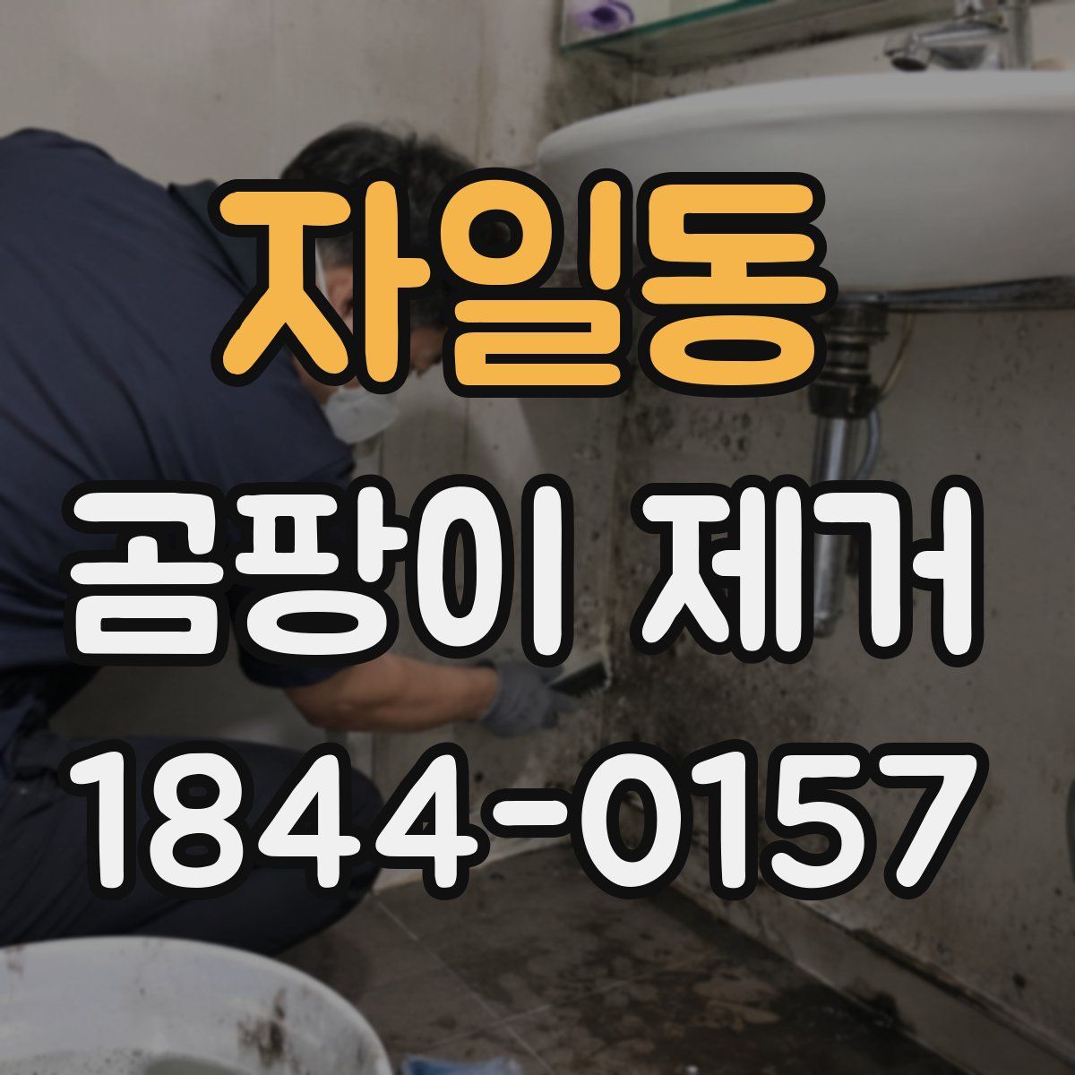 자일동 곰팡이 제거