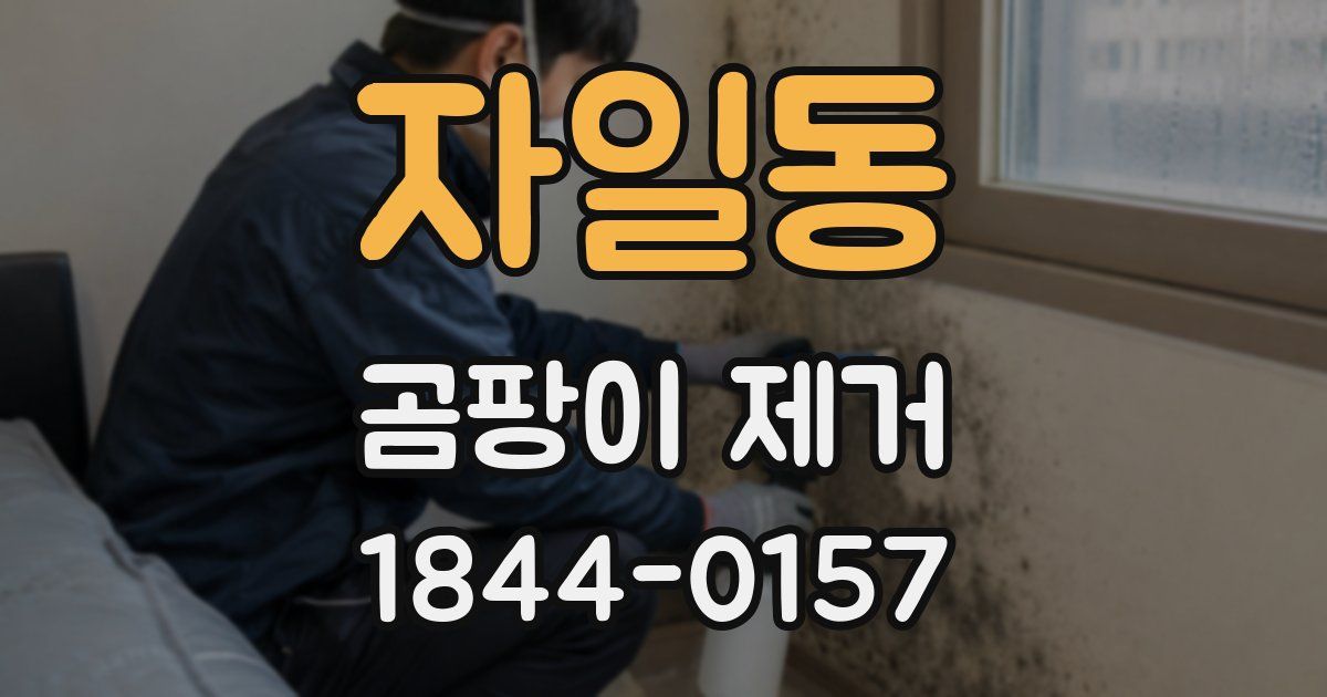 자일동 곰팡이 제거