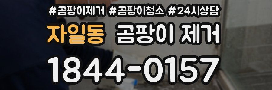 자일동 곰팡이 제거
