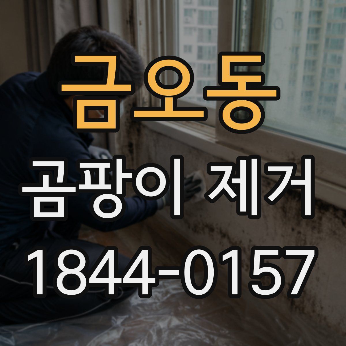 금오동 곰팡이 제거