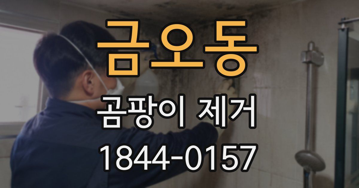 금오동 곰팡이 제거