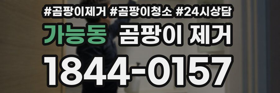 가능동 곰팡이 제거