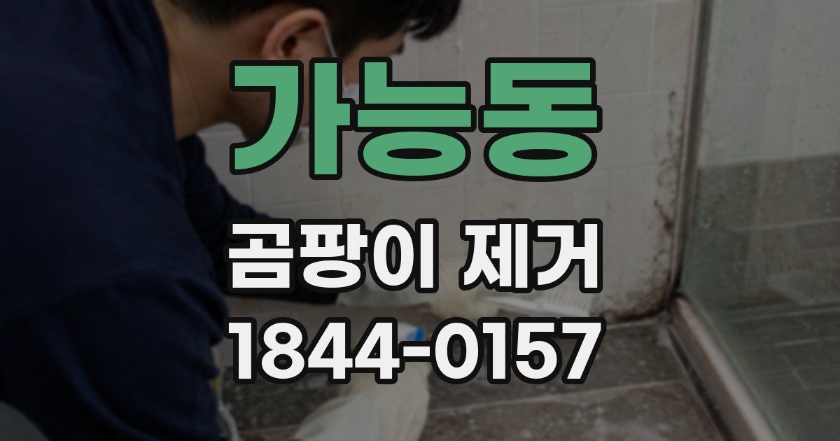 가능동 곰팡이 제거