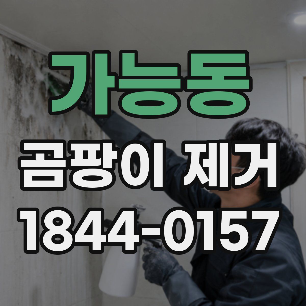 가능동 곰팡이 제거