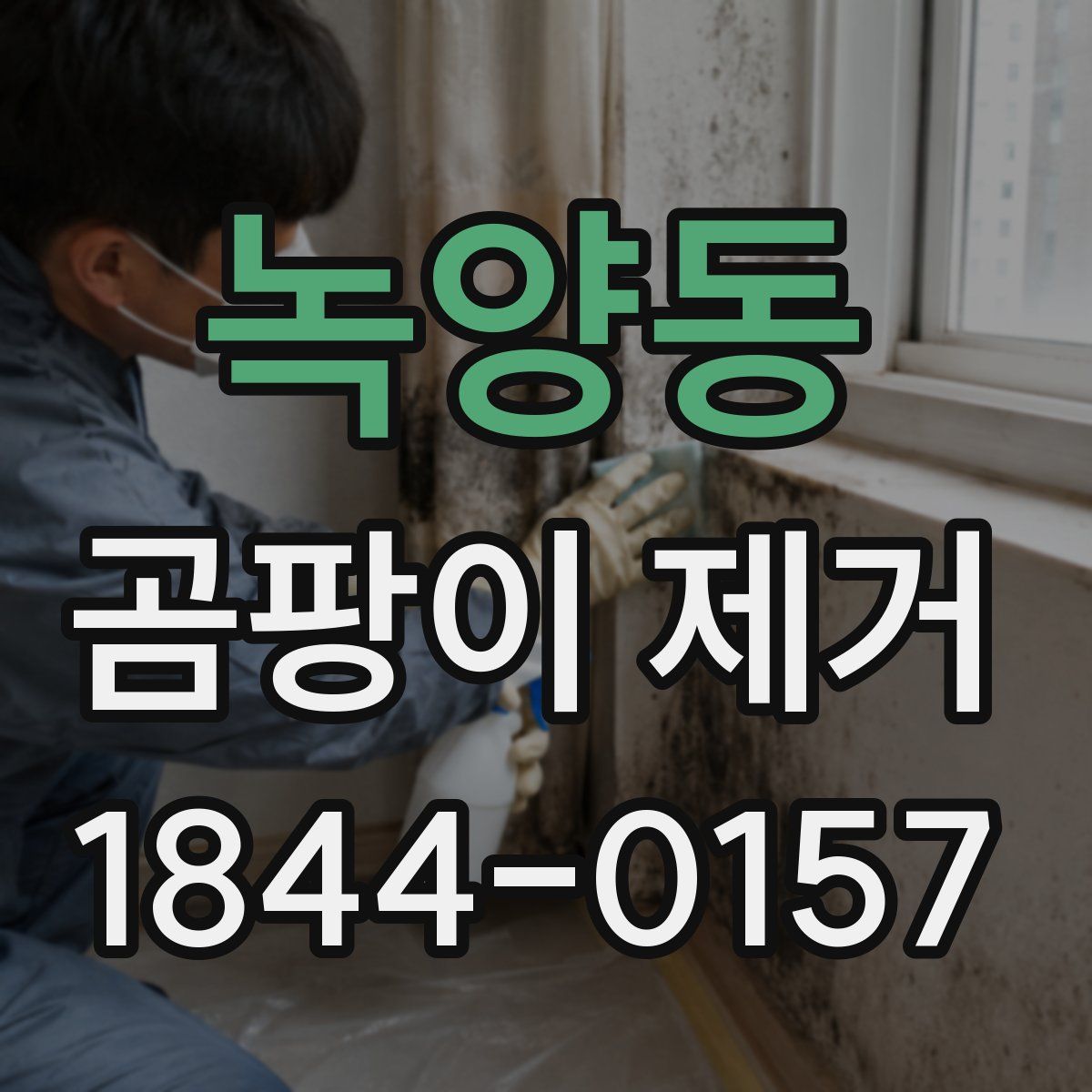 녹양동 곰팡이 제거