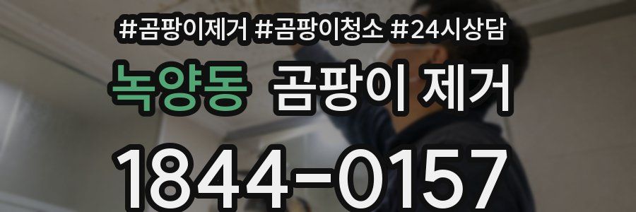 녹양동 곰팡이 제거
