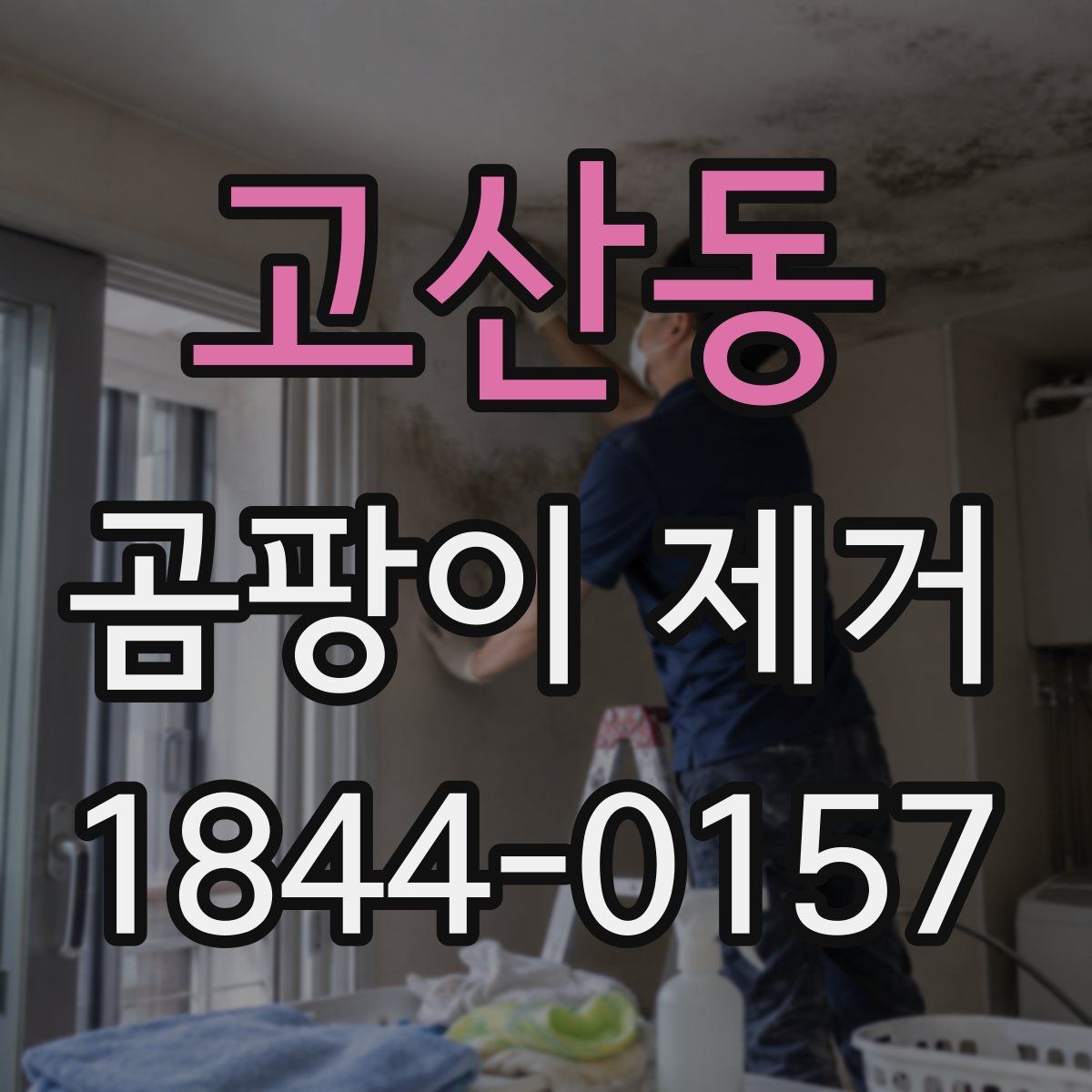 고산동 곰팡이 제거