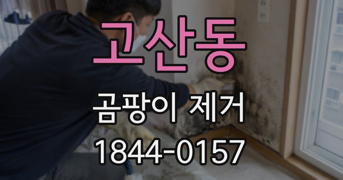고산동 곰팡이 제거