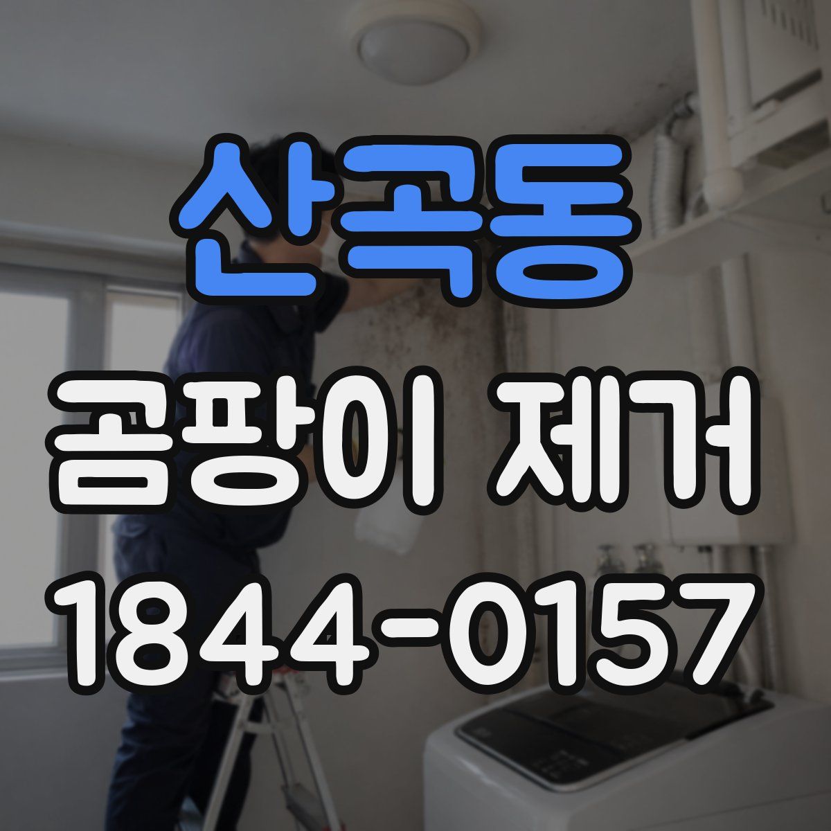 산곡동 곰팡이 제거