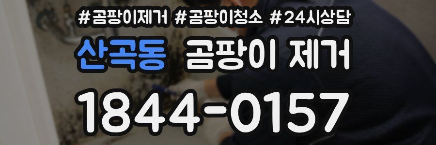산곡동 곰팡이 제거