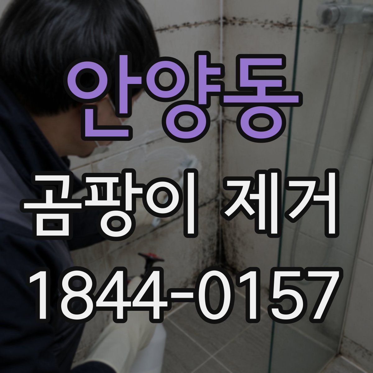안양동 곰팡이 제거