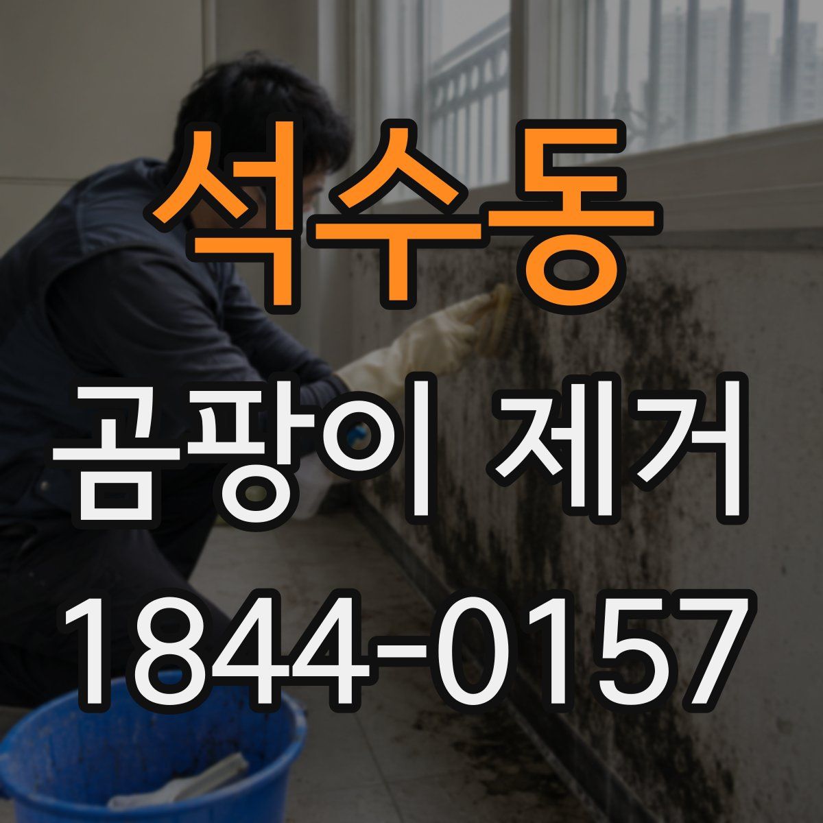 석수동 곰팡이 제거