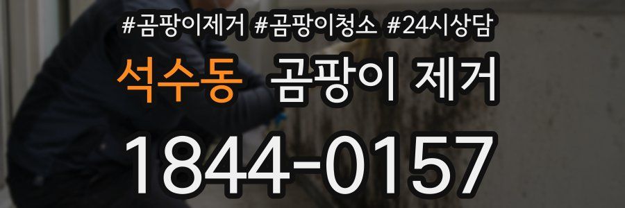 석수동 곰팡이 제거