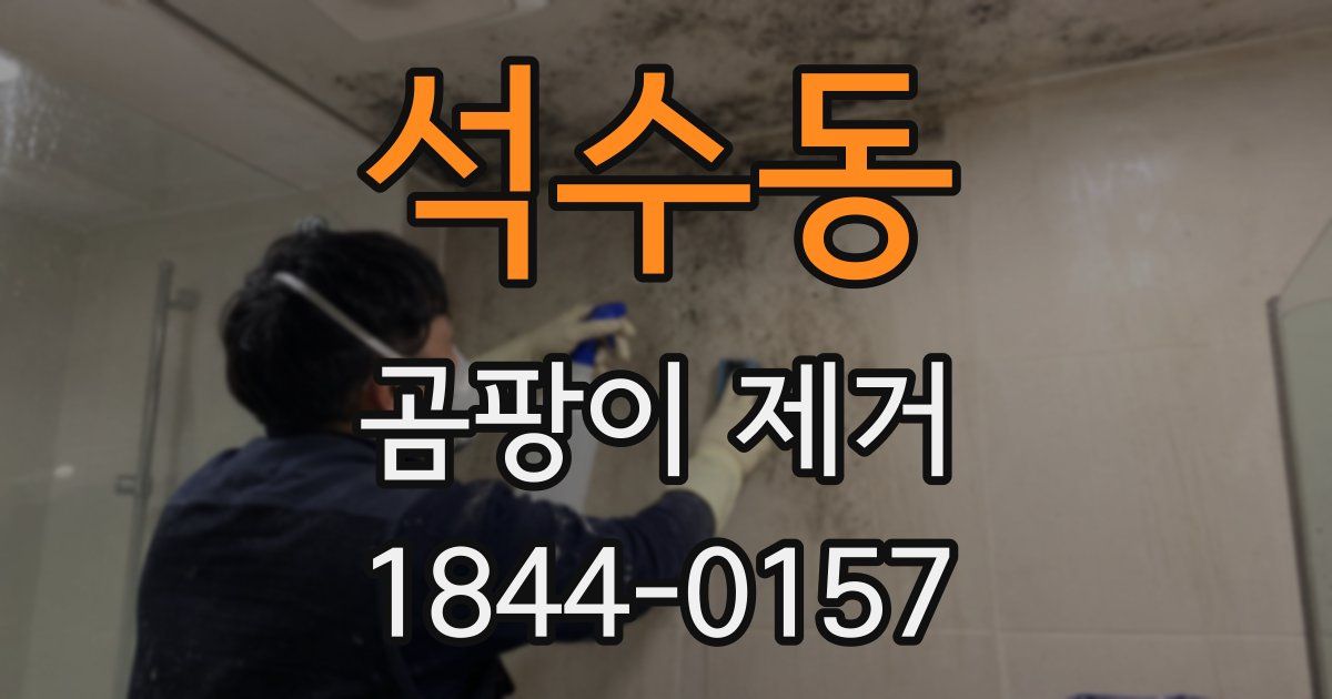 석수동 곰팡이 제거