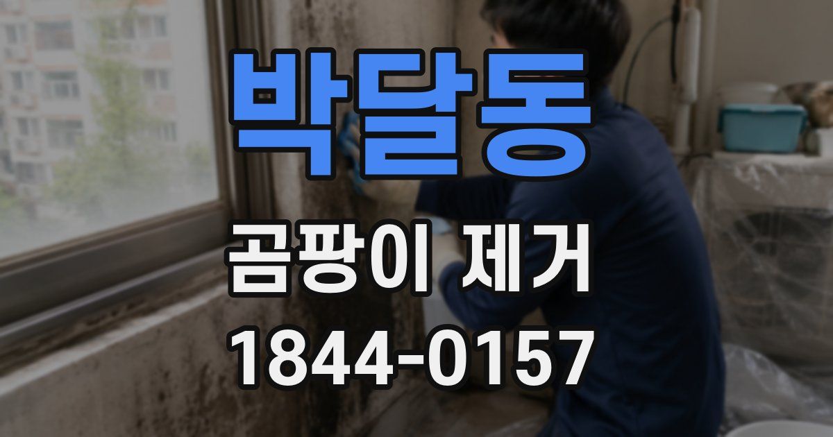 박달동 곰팡이 제거