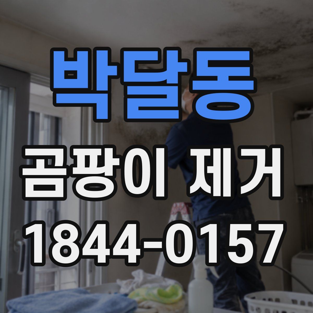 박달동 곰팡이 제거