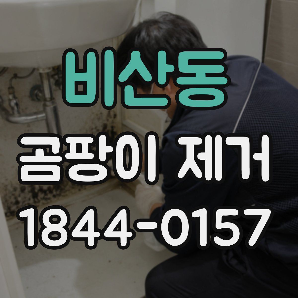 비산동 곰팡이 제거