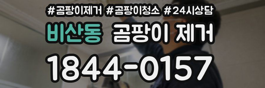 비산동 곰팡이 제거