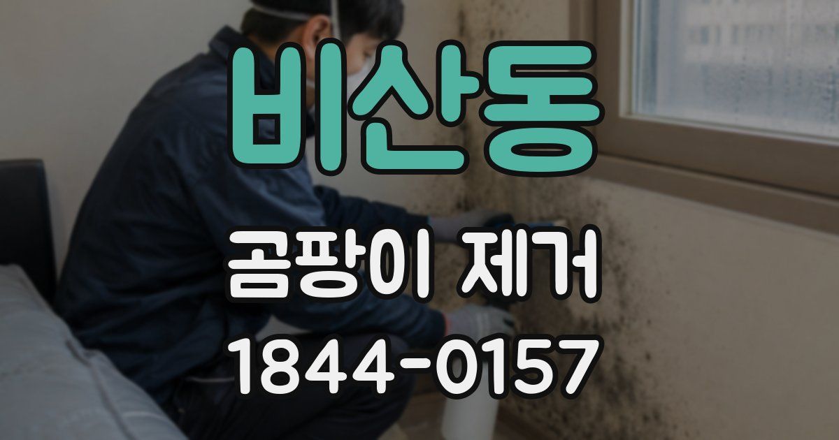 비산동 곰팡이 제거
