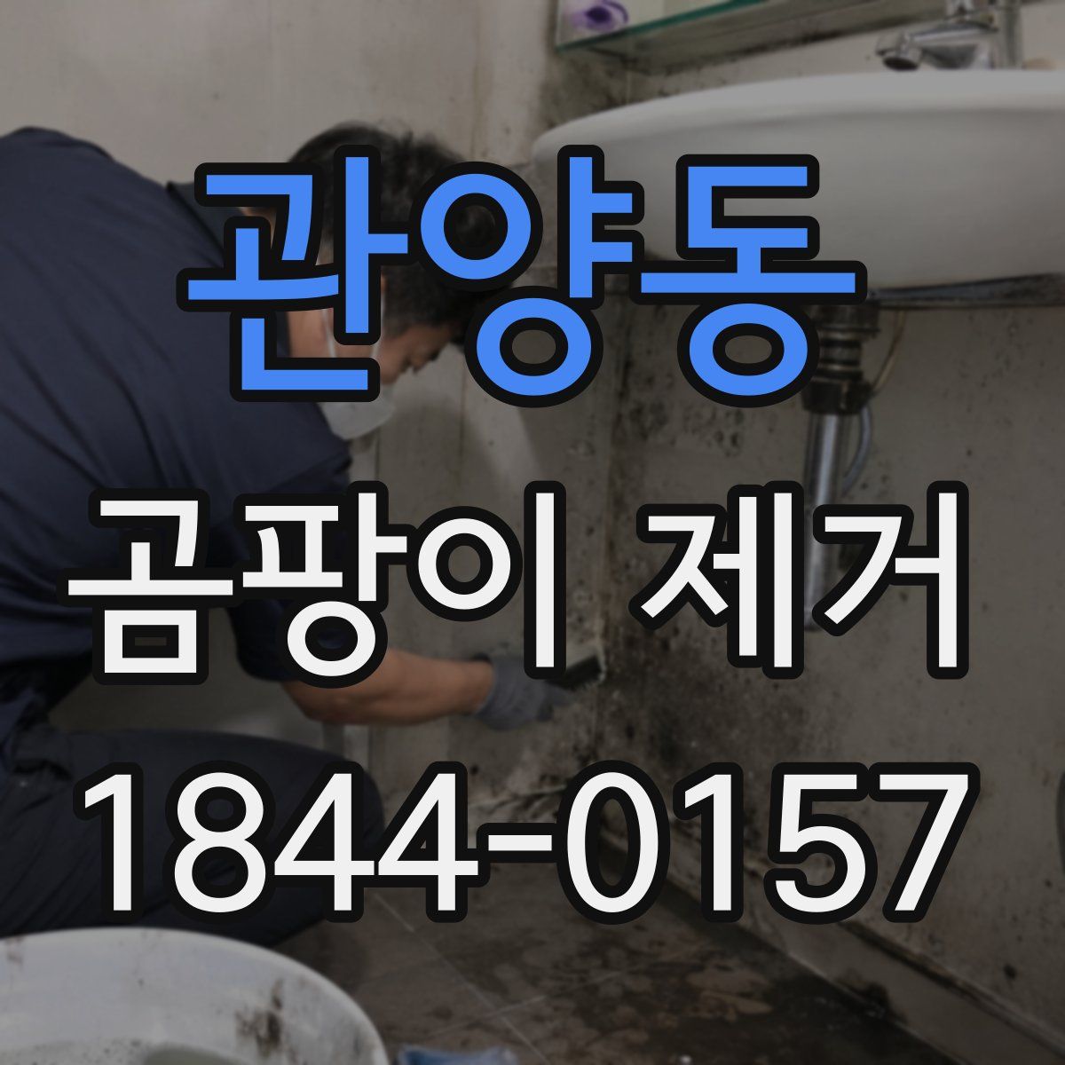 관양동 곰팡이 제거