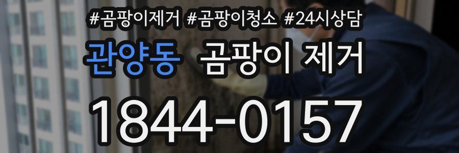 관양동 곰팡이 제거