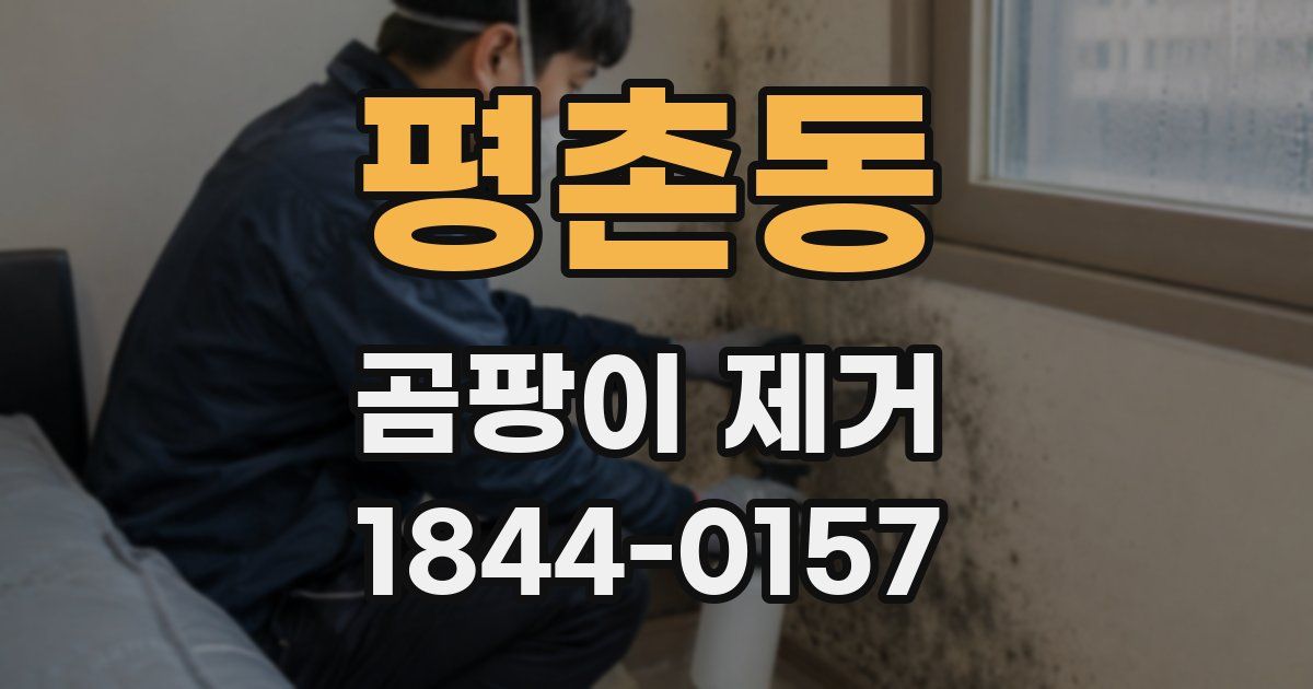 평촌동 곰팡이 제거